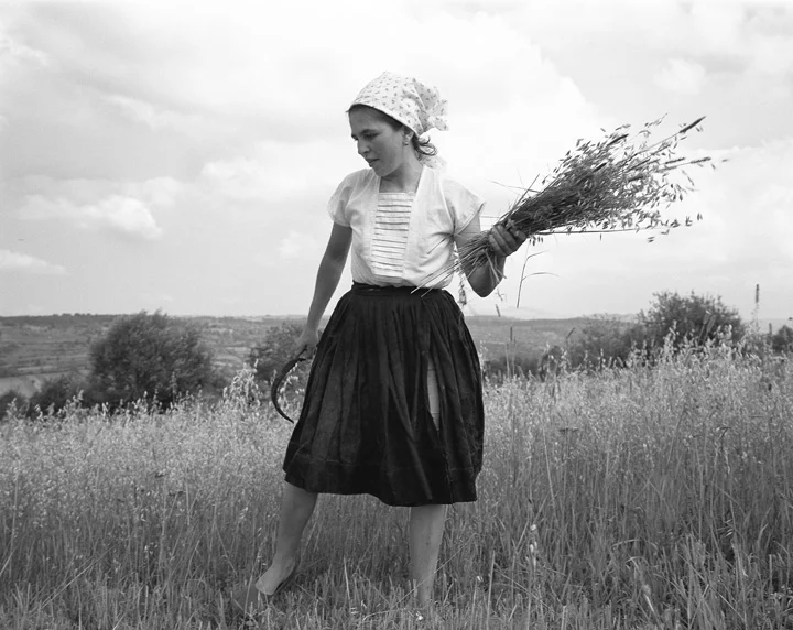 Kathleen Laraia McLaughlin